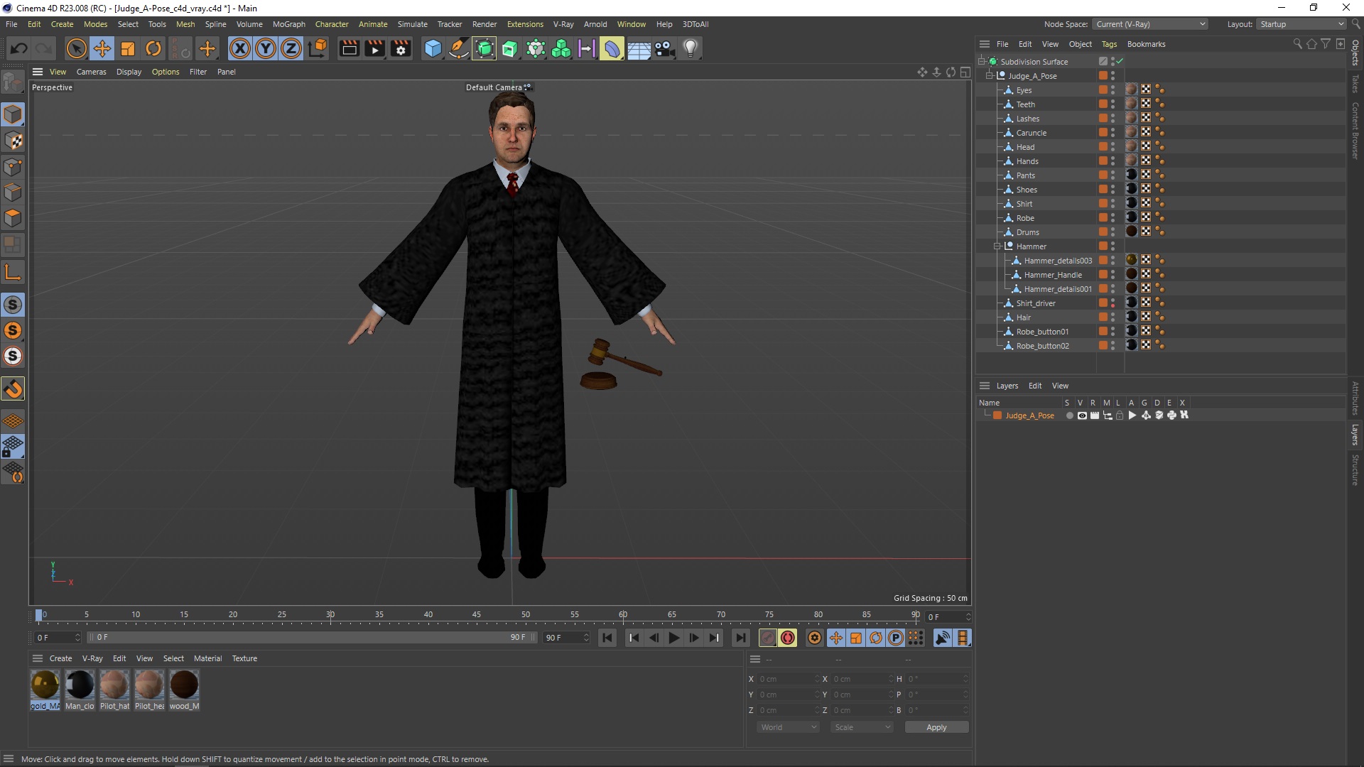 Judge A-Pose 3D