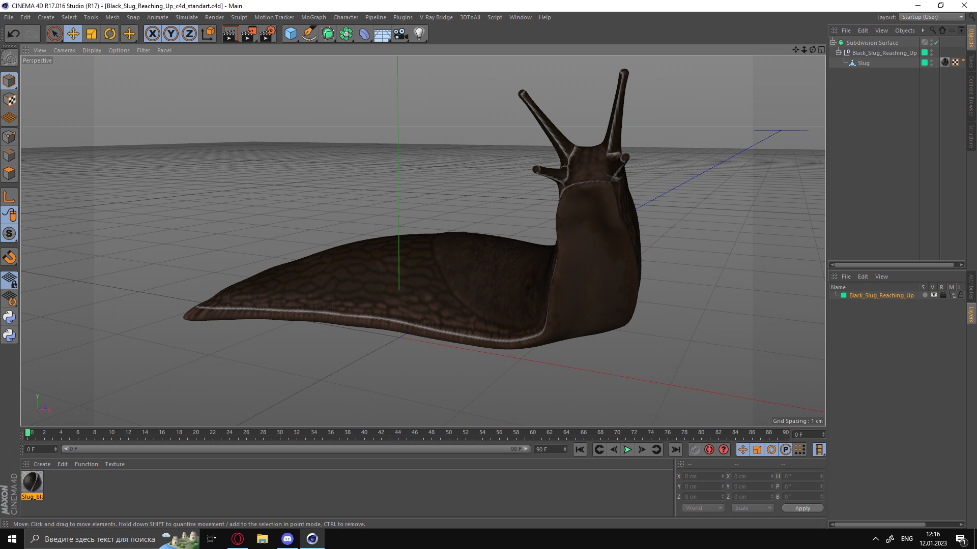Black Slug Reaching Up 3D