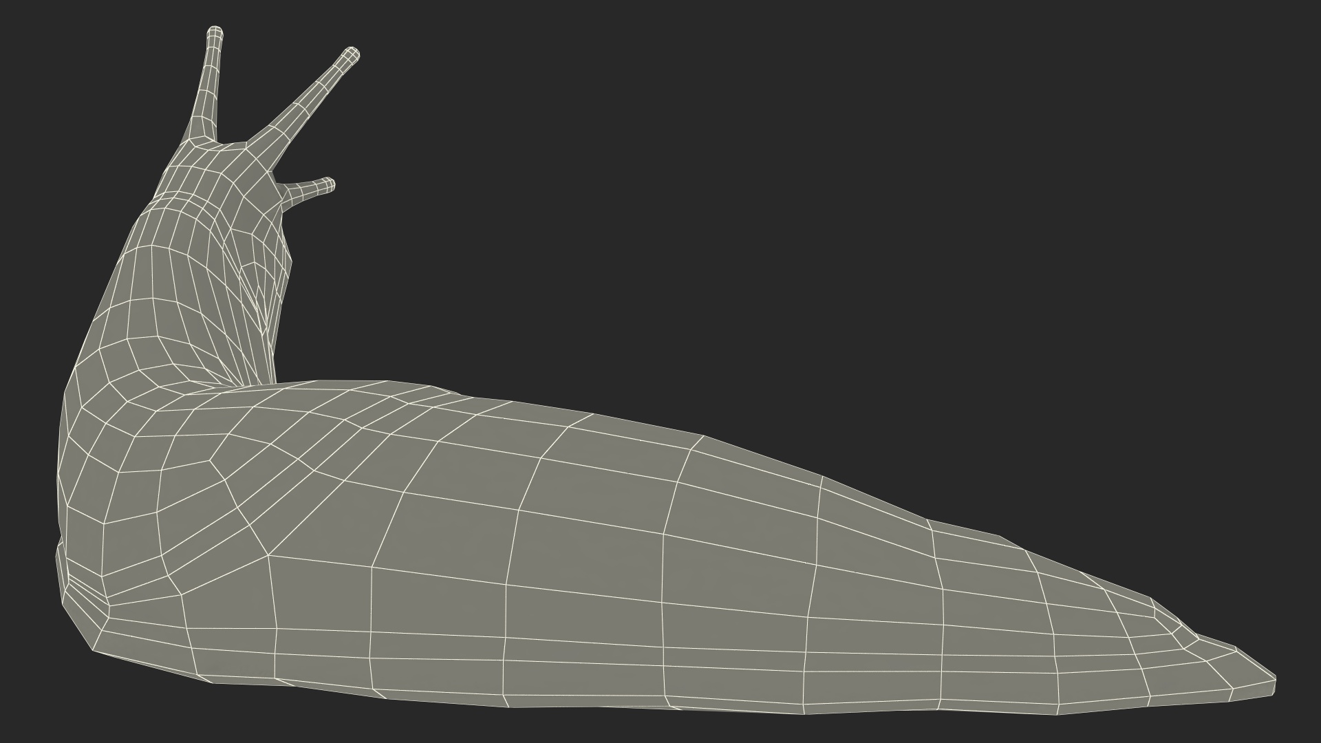 Black Slug Reaching Up 3D