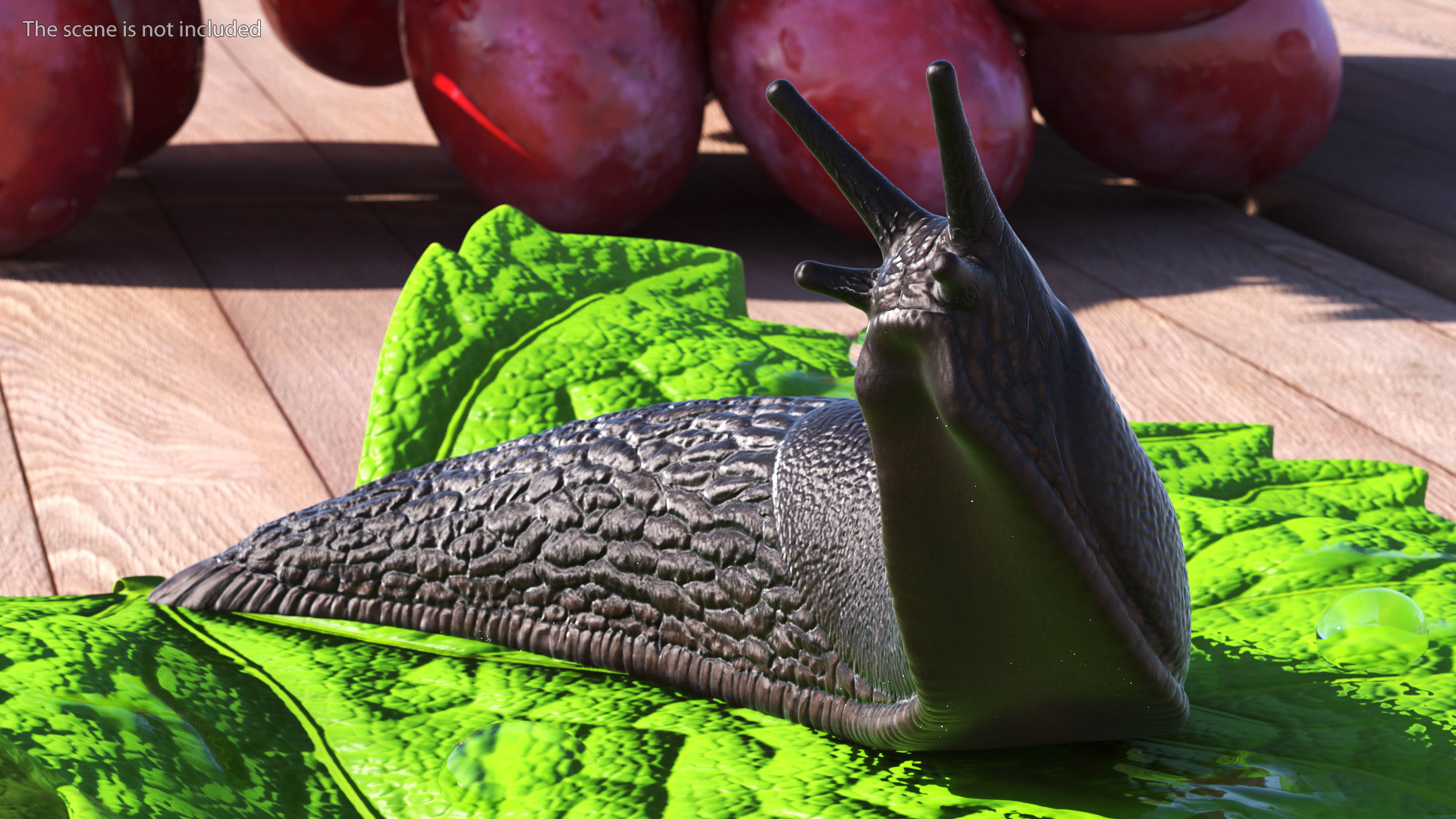 Black Slug Reaching Up 3D