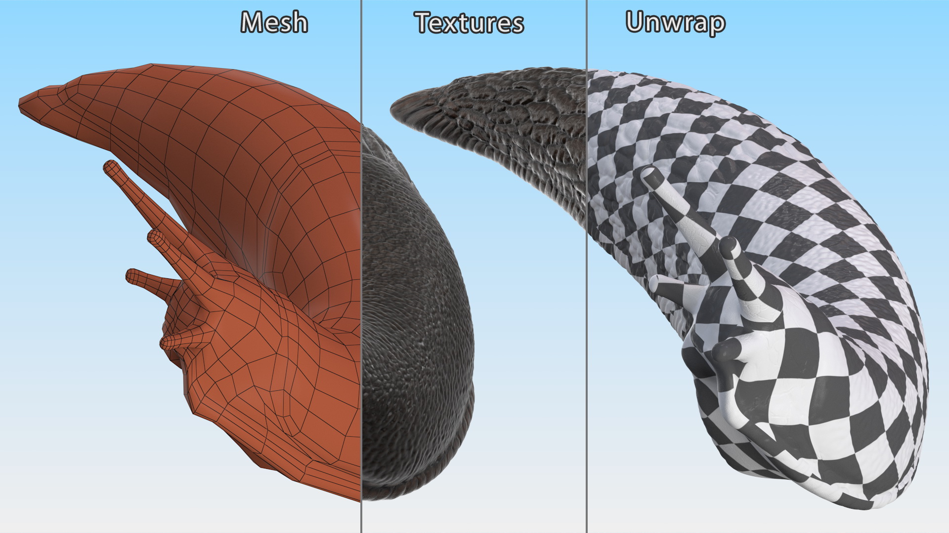 Black Slug Reaching Up 3D