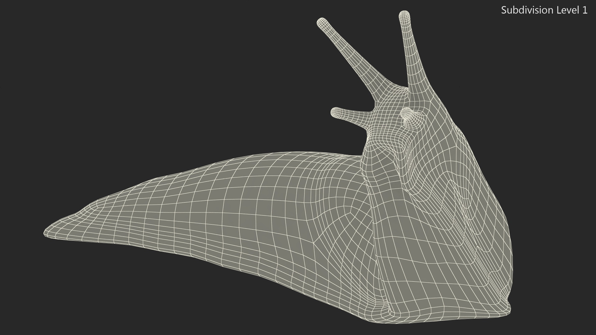 Black Slug Reaching Up 3D