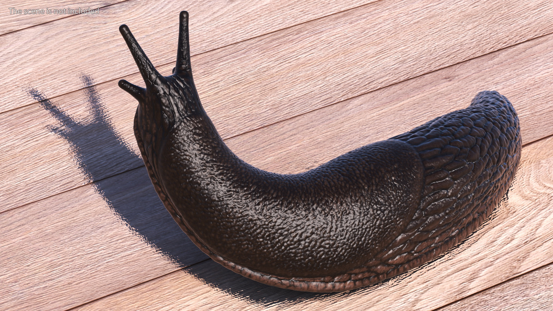 Black Slug Reaching Up 3D