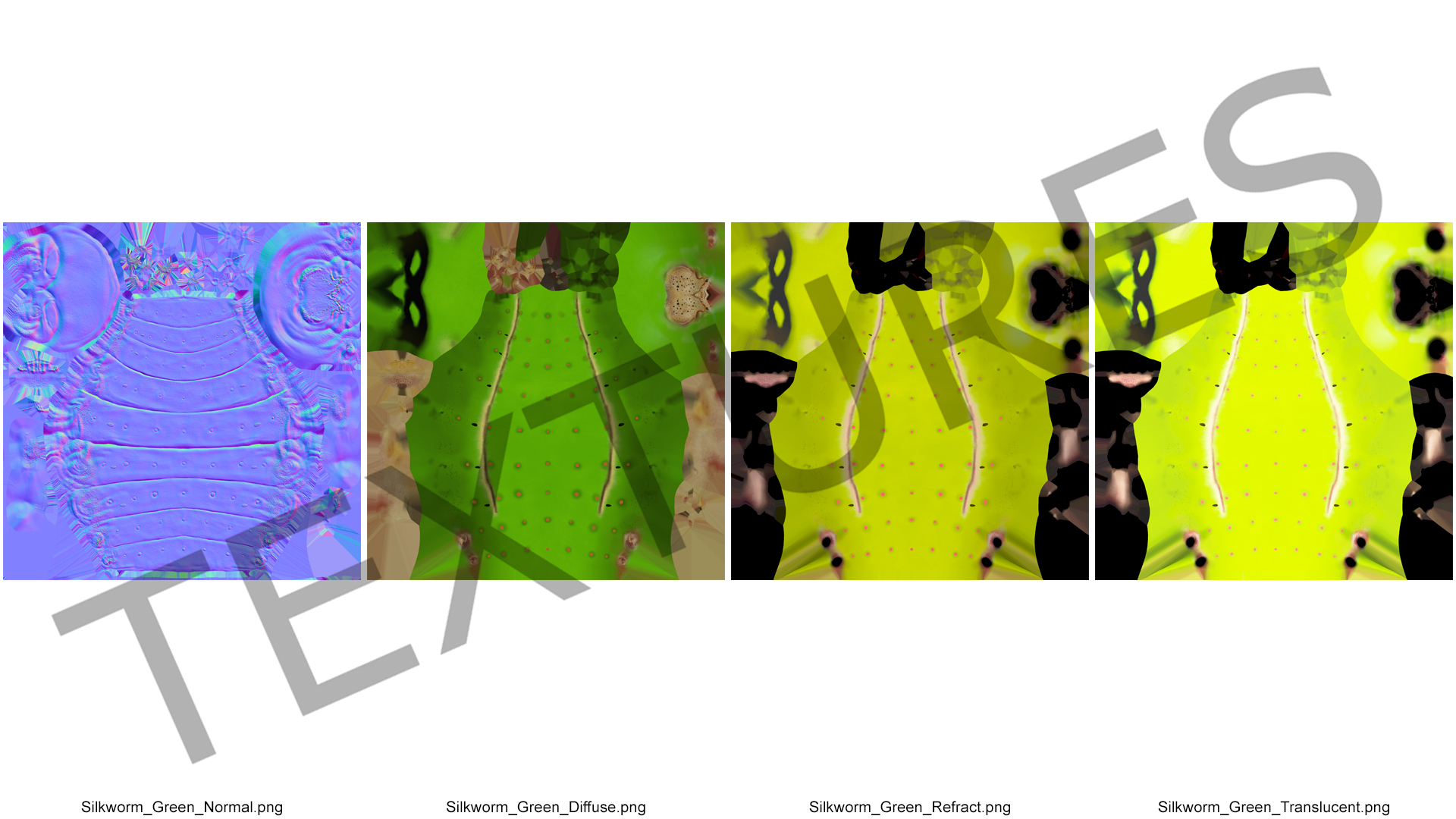 3D Silkworm Green Fur model