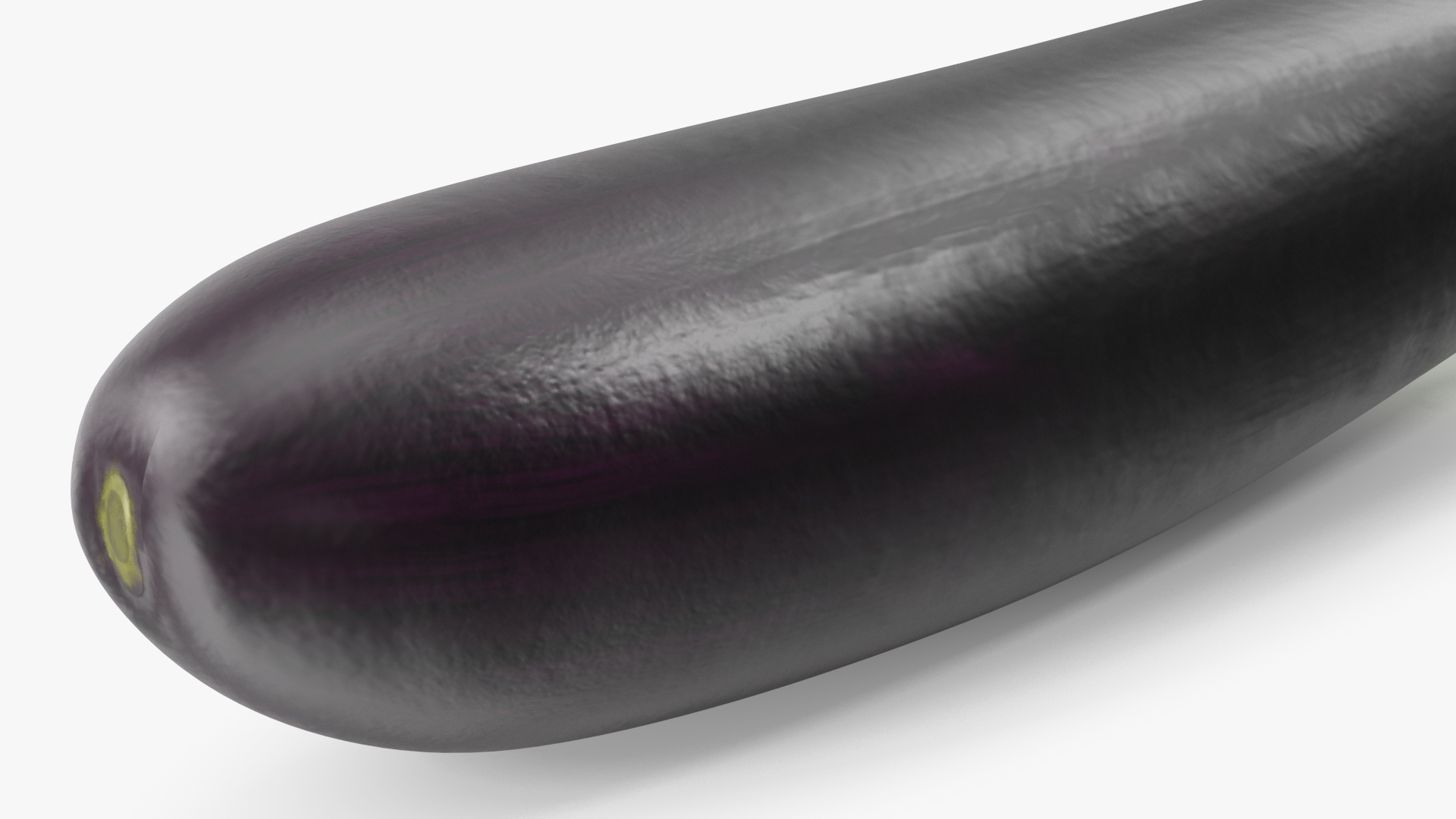 Solanum Melongena Aubergine 3D
