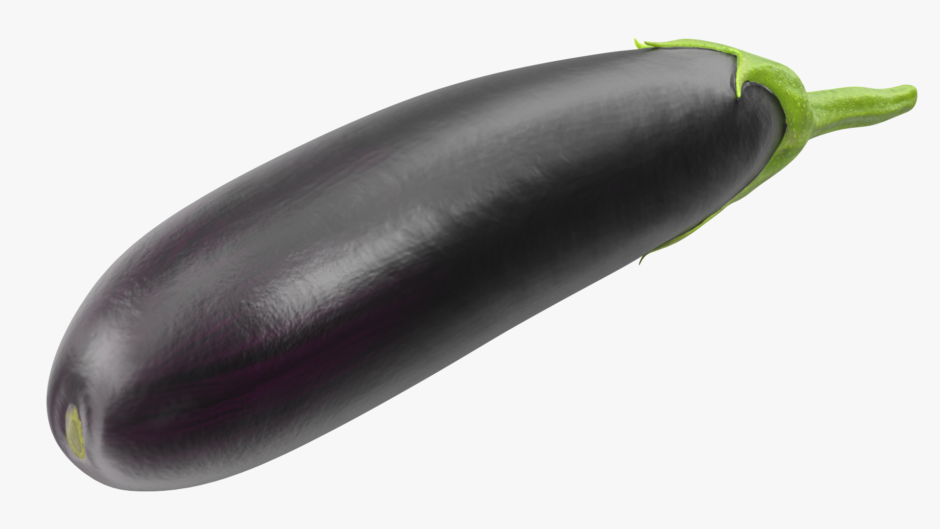 Solanum Melongena Aubergine 3D
