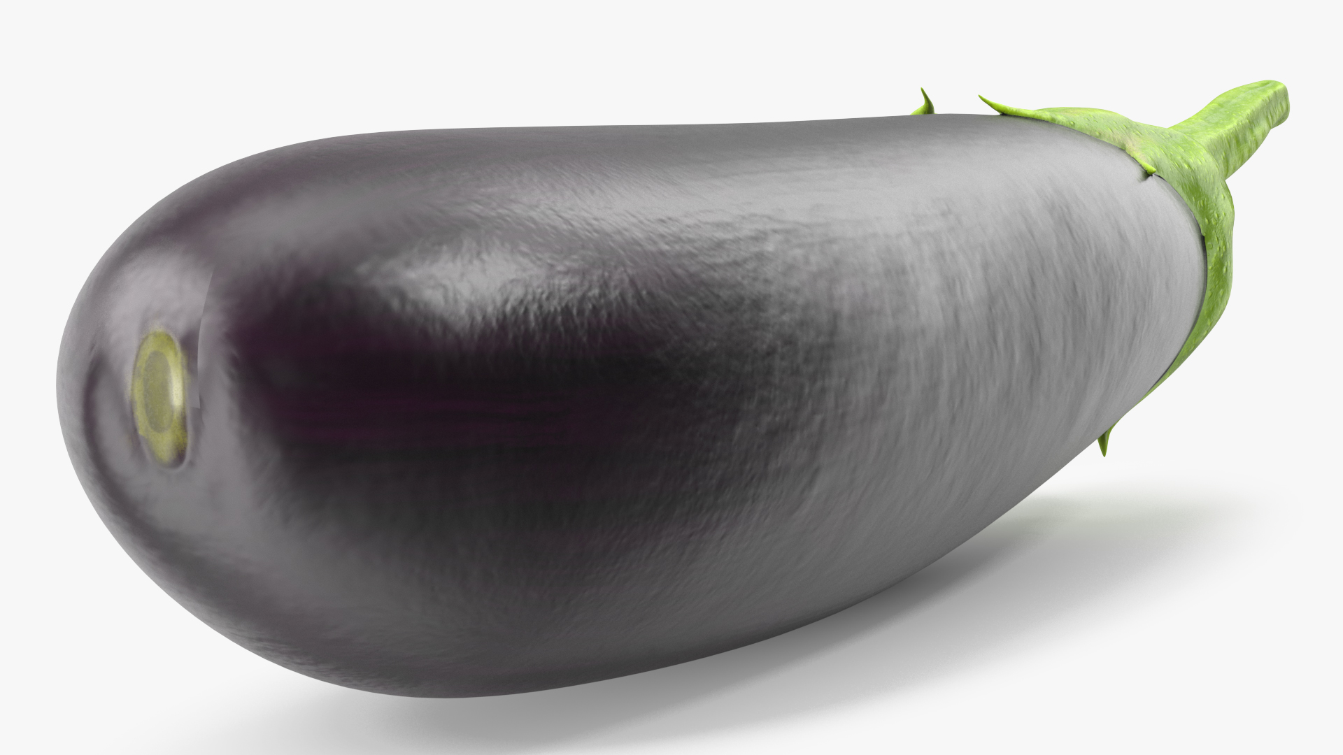 Solanum Melongena Aubergine 3D