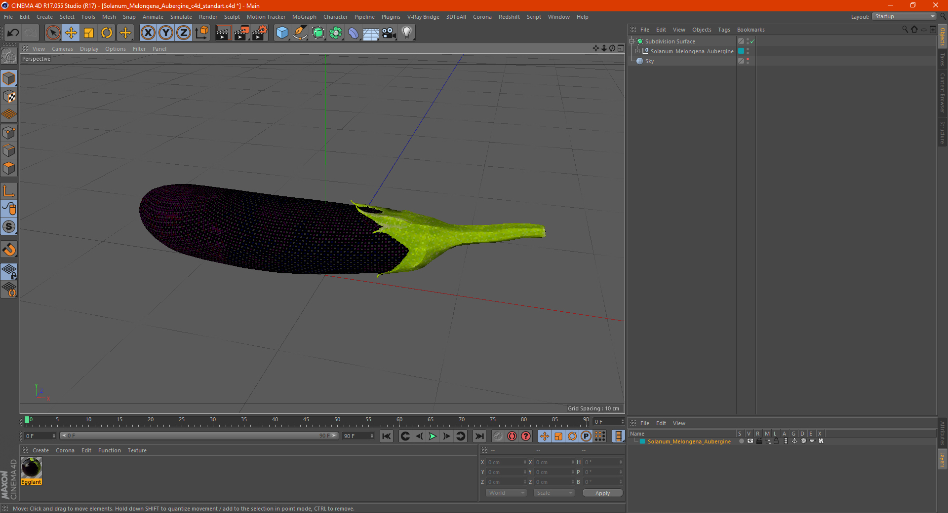 Solanum Melongena Aubergine 3D