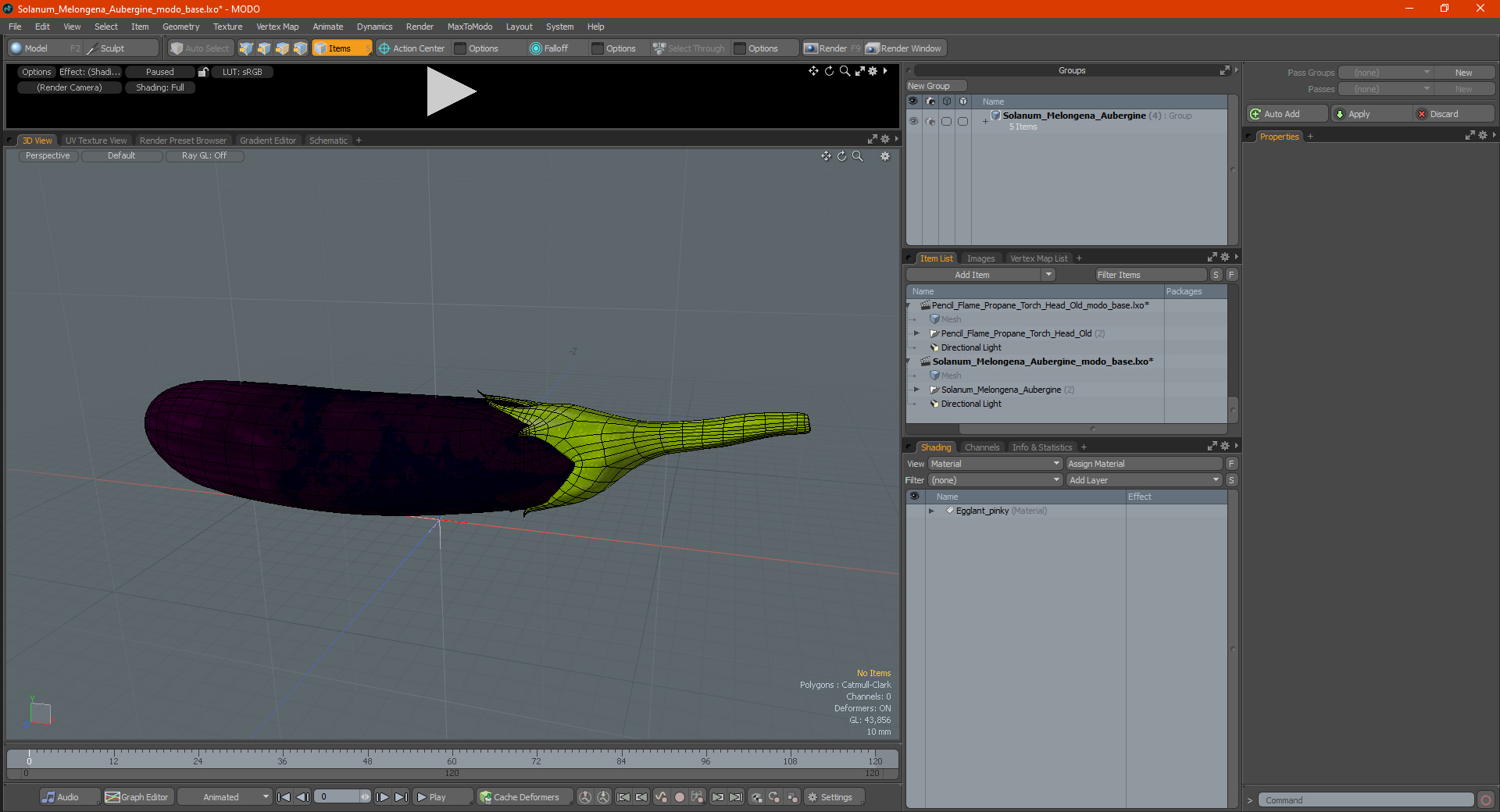 Solanum Melongena Aubergine 3D