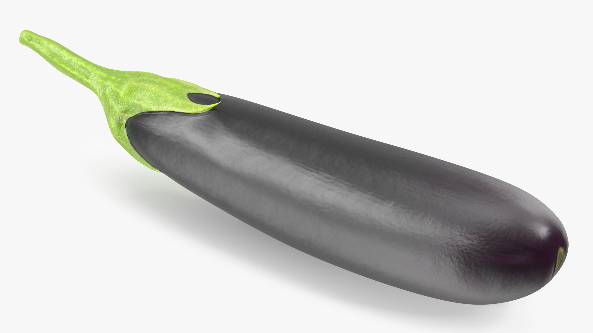 Solanum Melongena Aubergine 3D