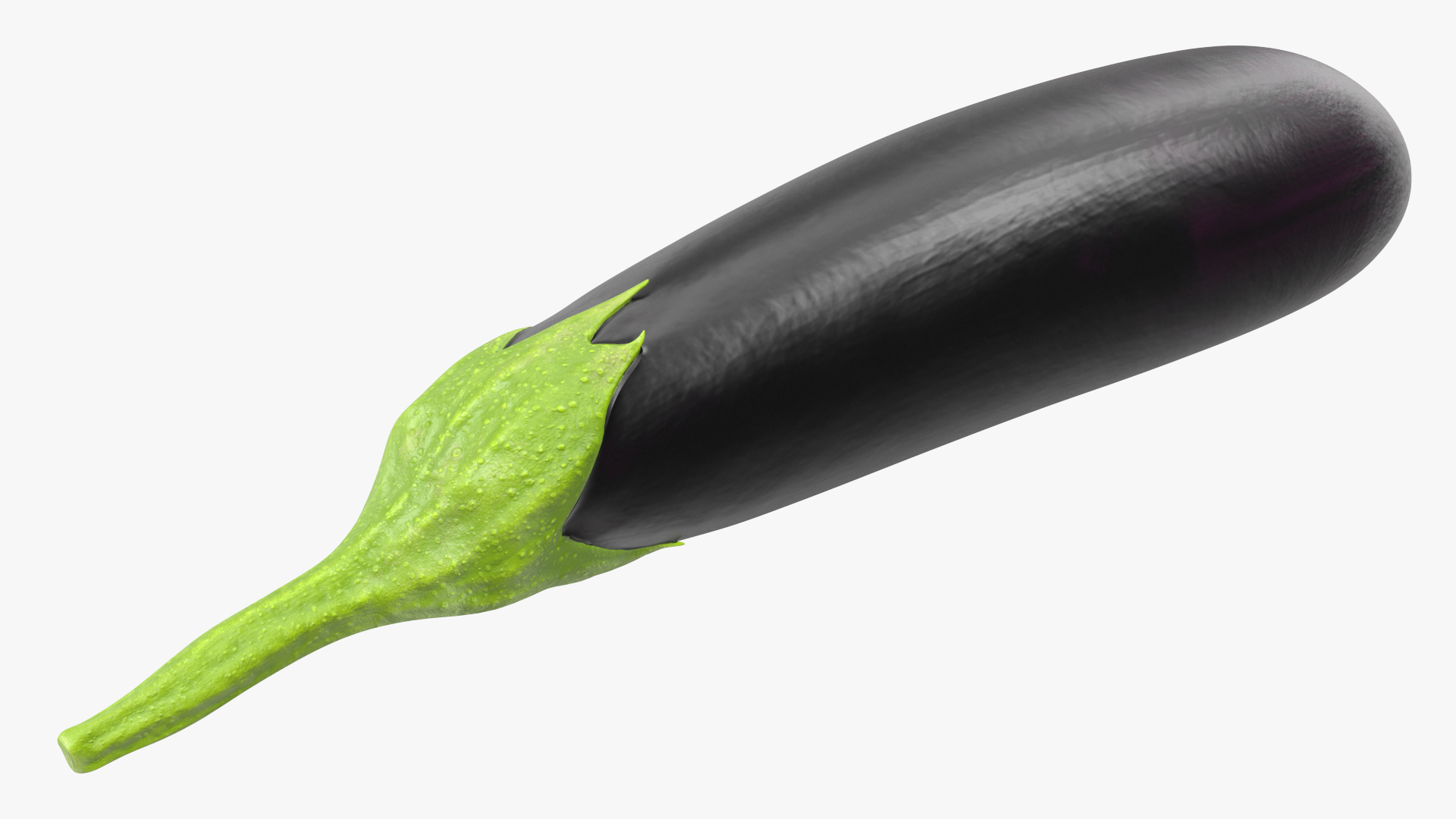 Solanum Melongena Aubergine 3D