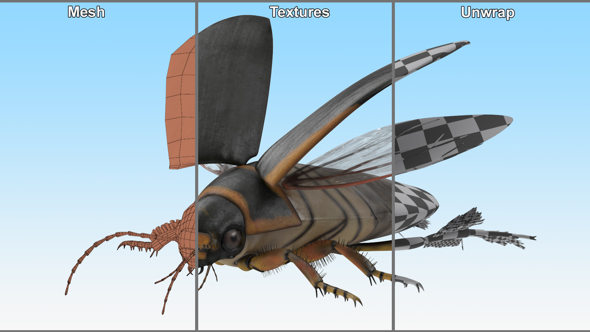 Insect Water Beetle Brown Realistic Rigged 3D