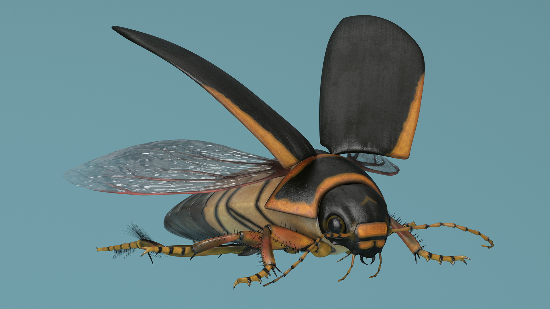 Insect Water Beetle Brown Realistic Rigged 3D