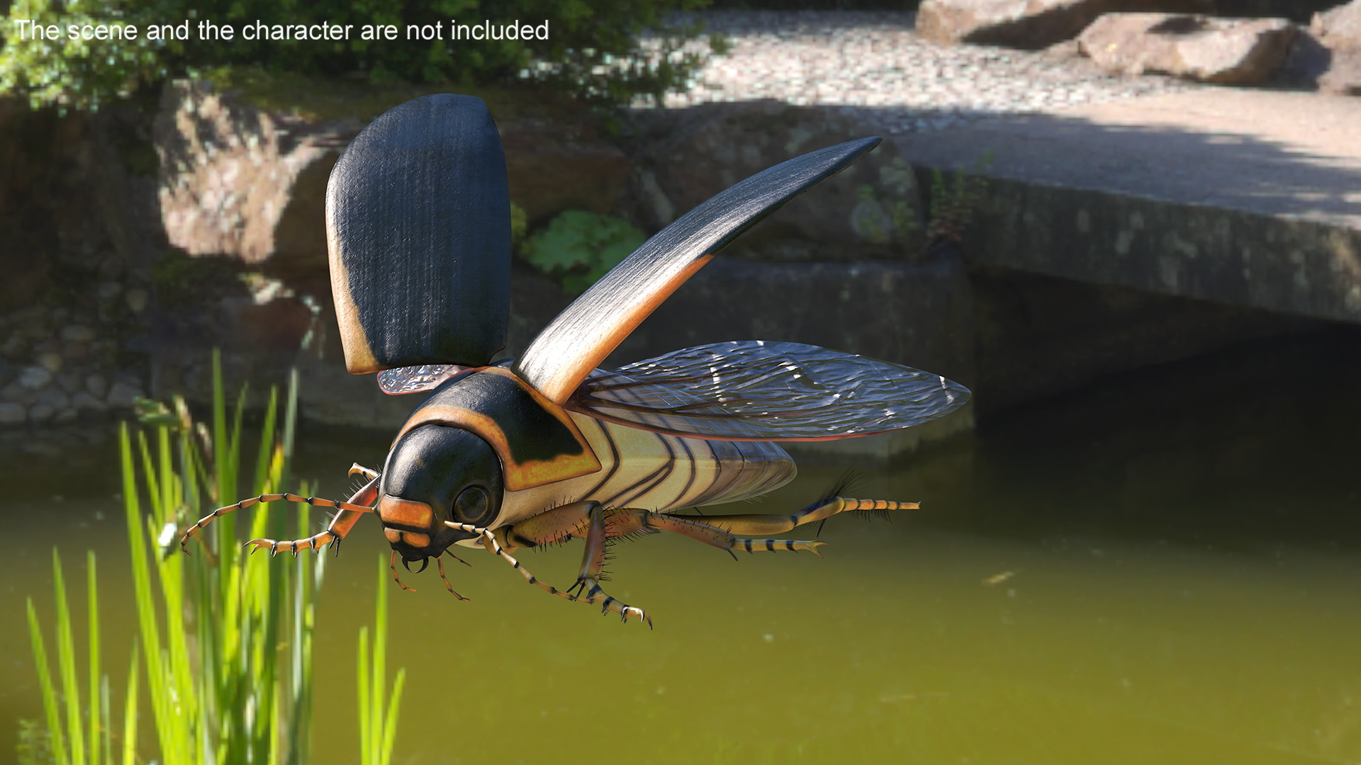 Insect Water Beetle Brown Realistic Rigged 3D