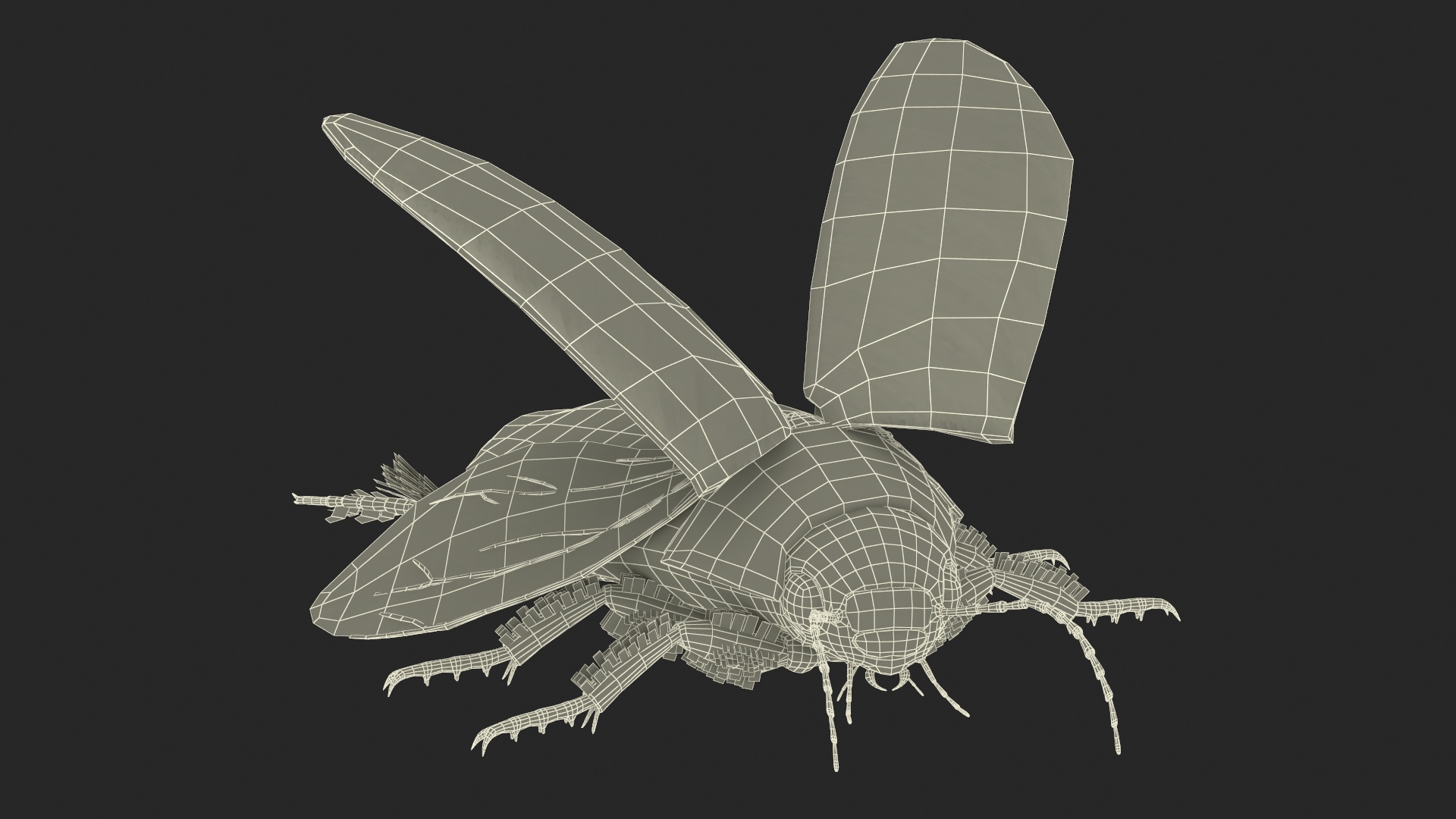 Insect Water Beetle Brown Realistic Rigged 3D