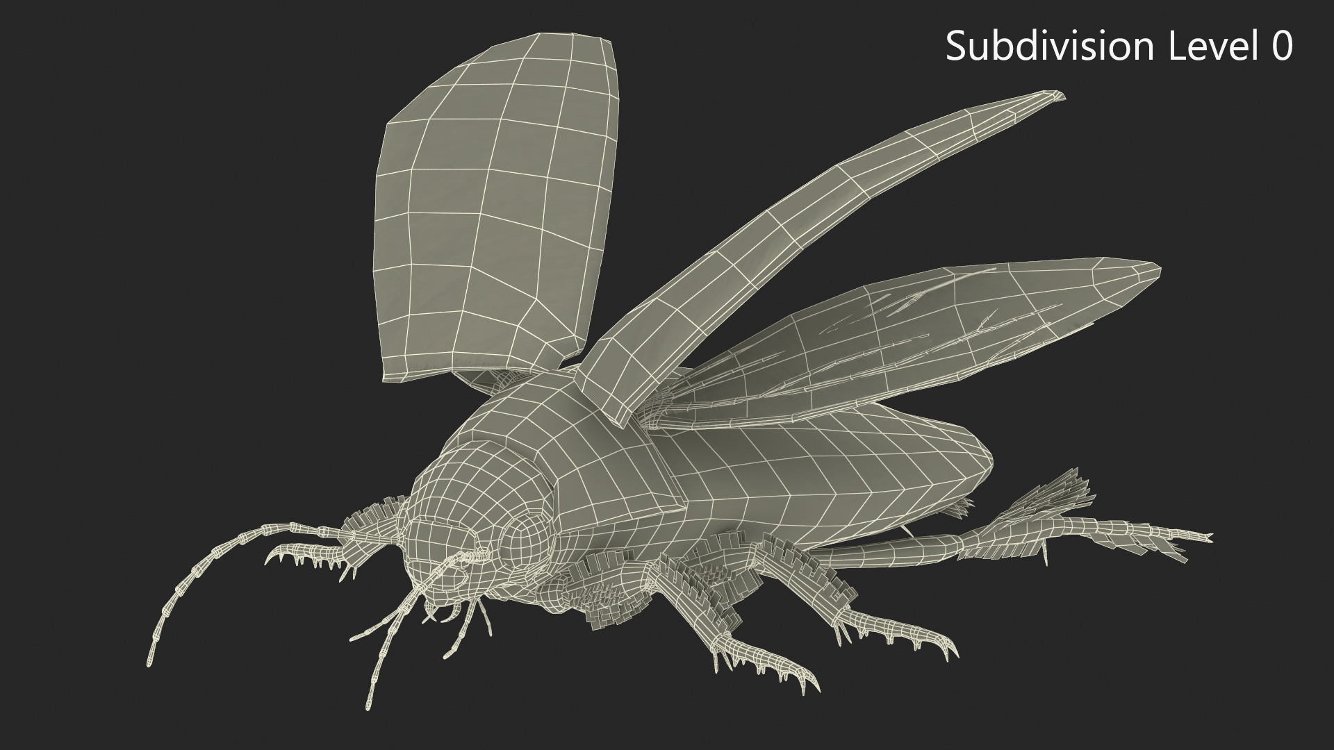 Insect Water Beetle Brown Realistic Rigged 3D