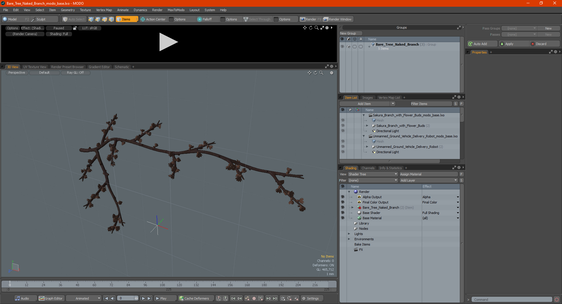 Bare Tree Naked Branch 3D
