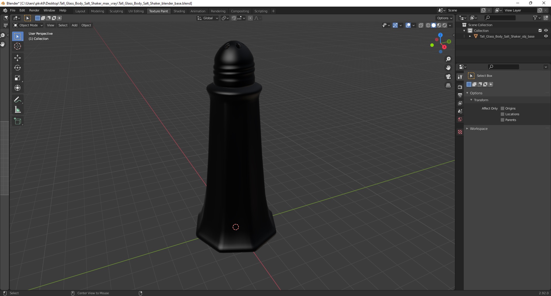 Tall Glass Body Salt Shaker 3D