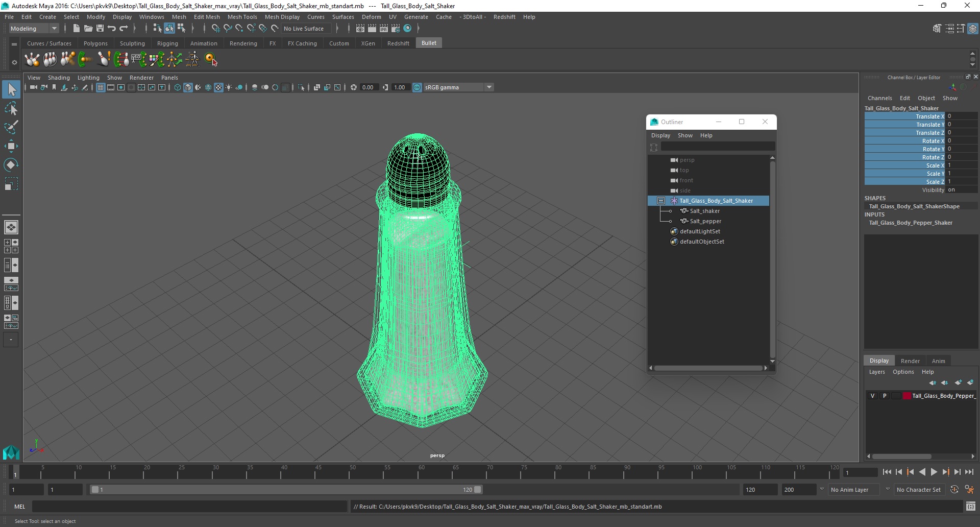 Tall Glass Body Salt Shaker 3D