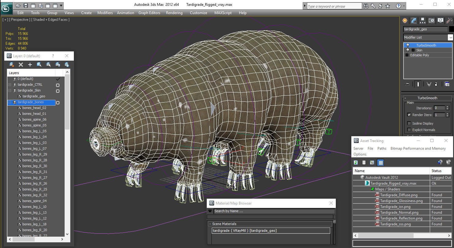 Tardigrade Rigged 3D