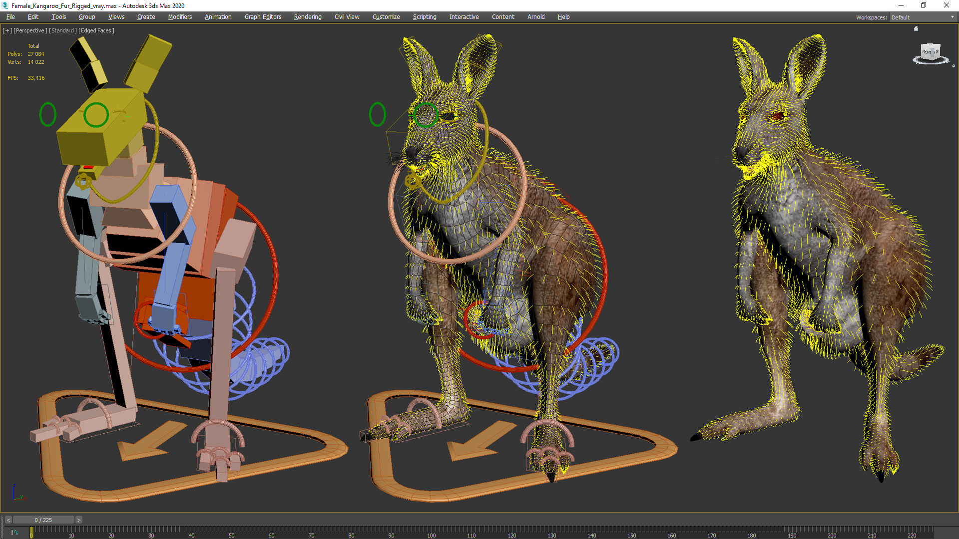 3D Female Kangaroo Fur Rigged