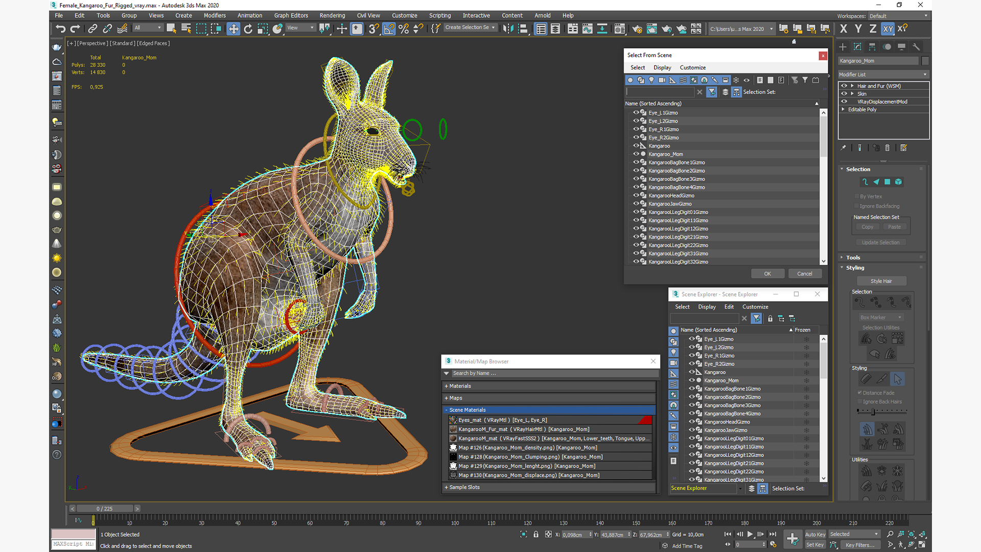 3D Female Kangaroo Fur Rigged