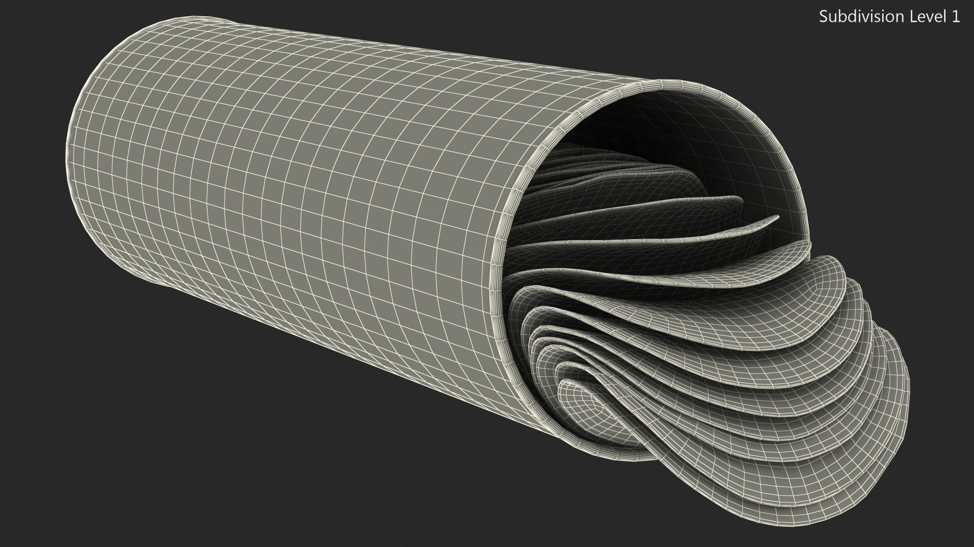 3D Open Paper Tube of Potato Chips