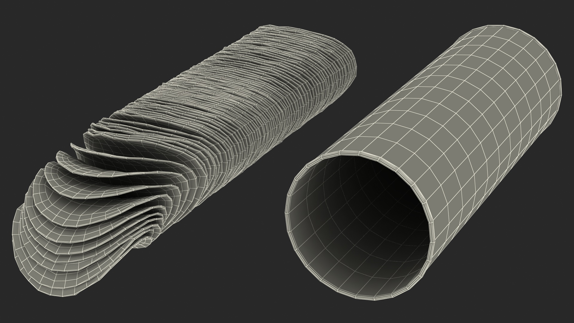 3D Open Paper Tube of Potato Chips