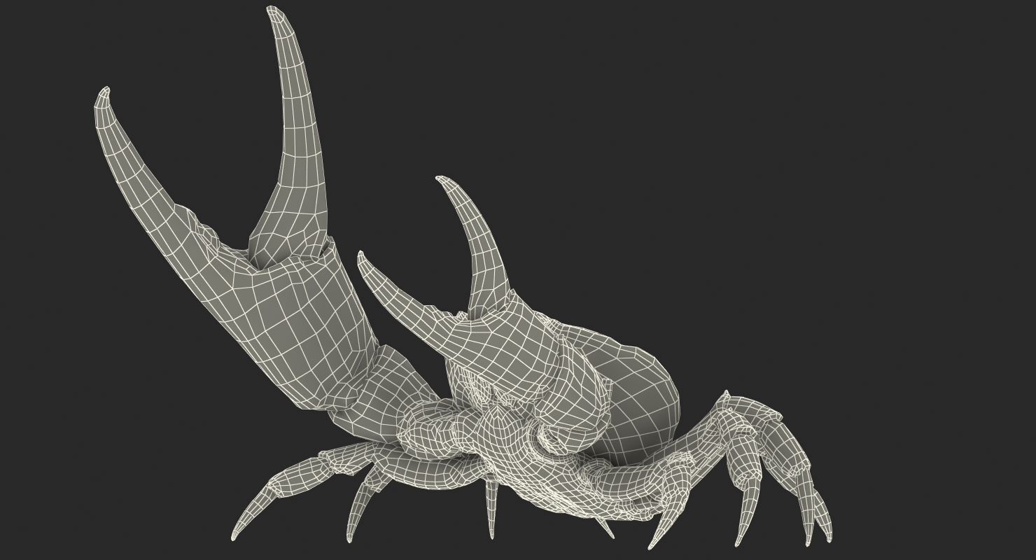 Tasmanian Giant Crab Fighting Pose 3D model