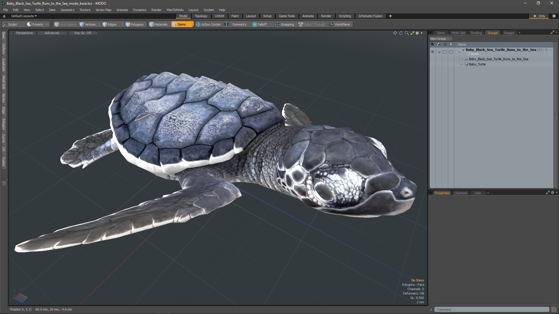 Baby Black Sea Turtle Runs to the Sea 3D