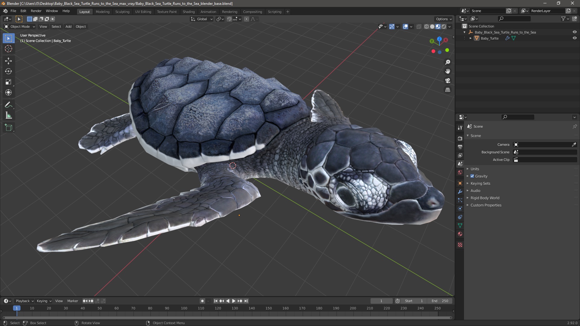 Baby Black Sea Turtle Runs to the Sea 3D