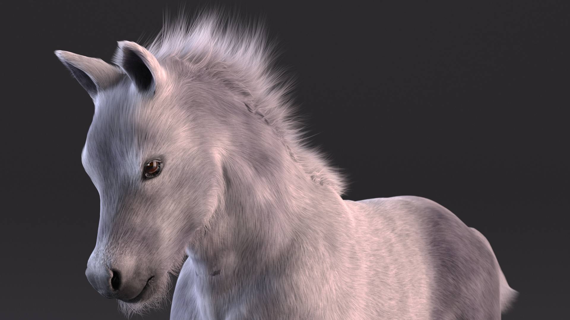 3D model Shetland Pony White Fur Rigged