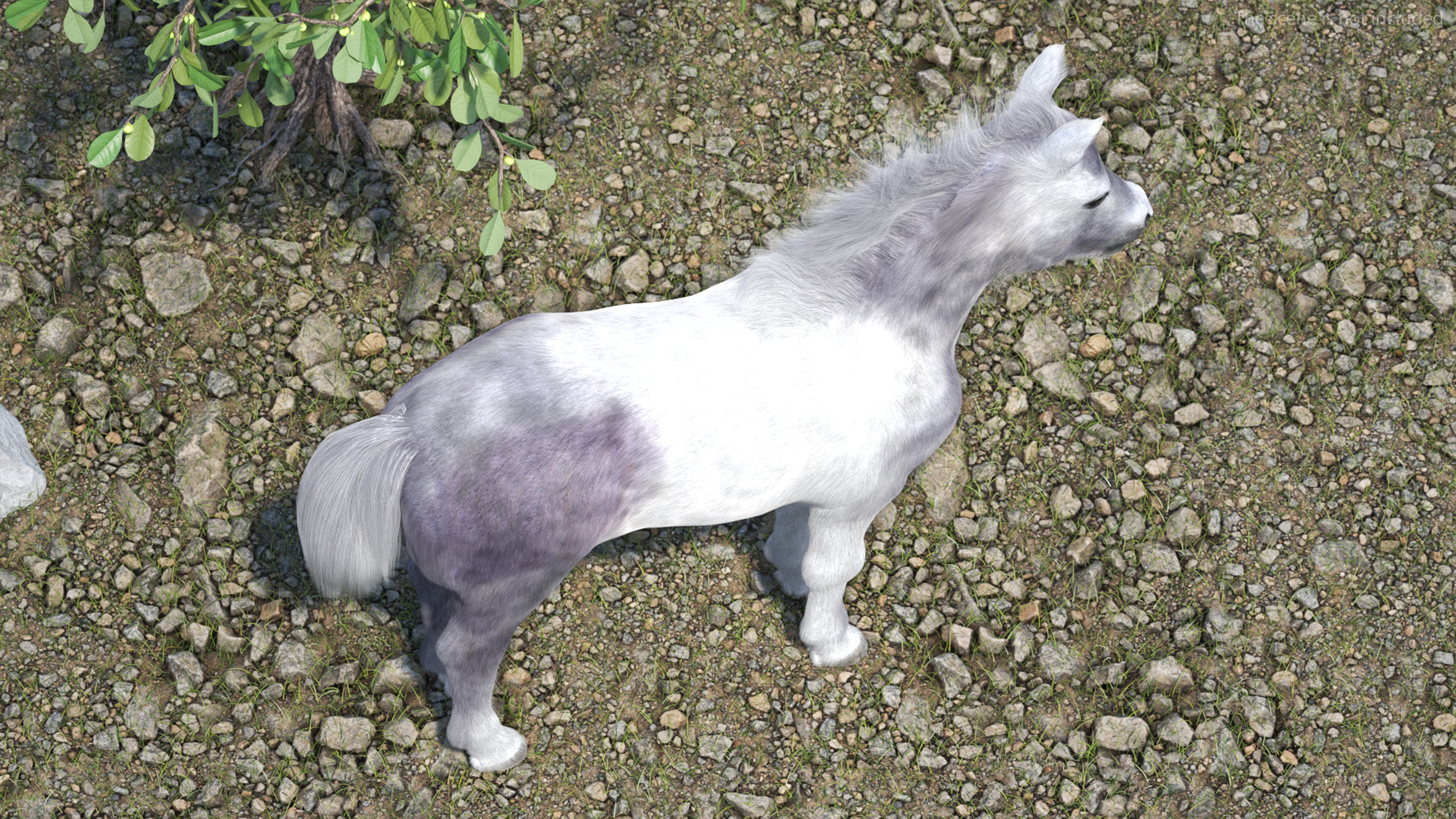 3D model Shetland Pony White Fur Rigged