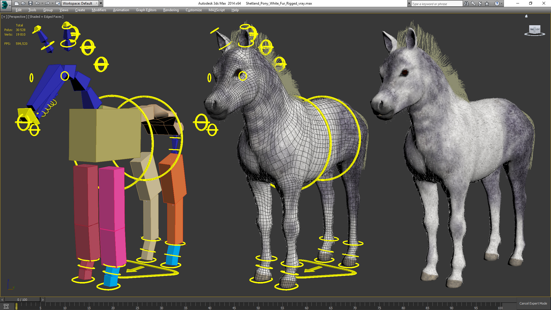 3D model Shetland Pony White Fur Rigged
