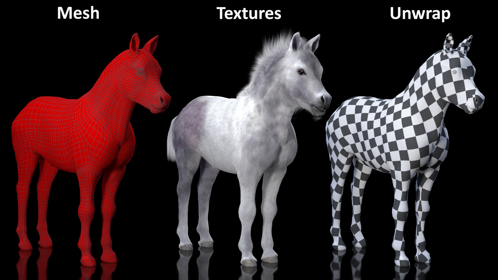 3D model Shetland Pony White Fur Rigged