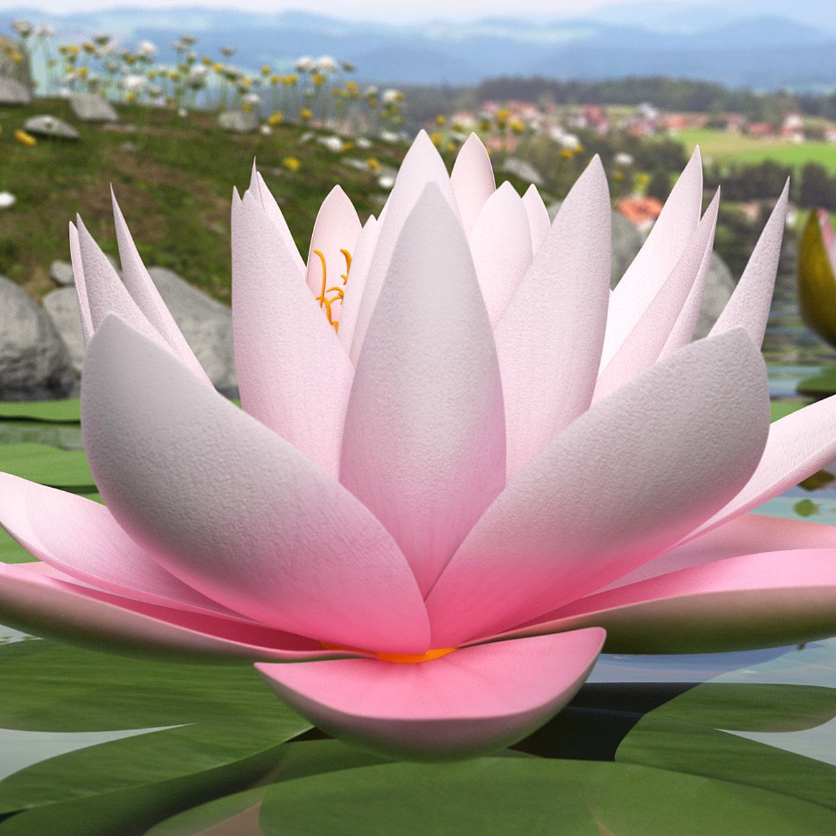 Blooming Nymphaea Colorado Pink Water Lily 3D model preview