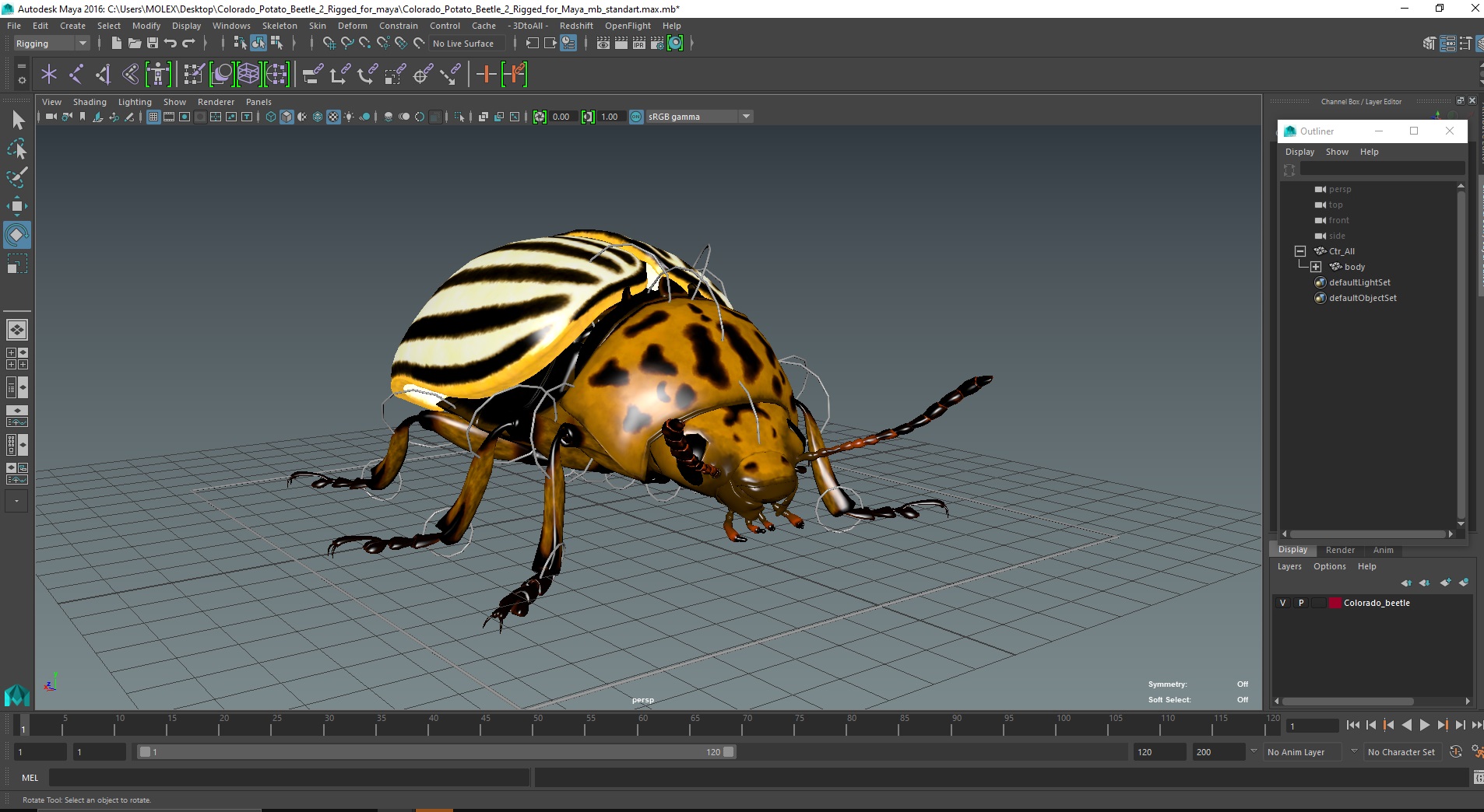 3D model Colorado Potato Beetle 2 Rigged for Maya