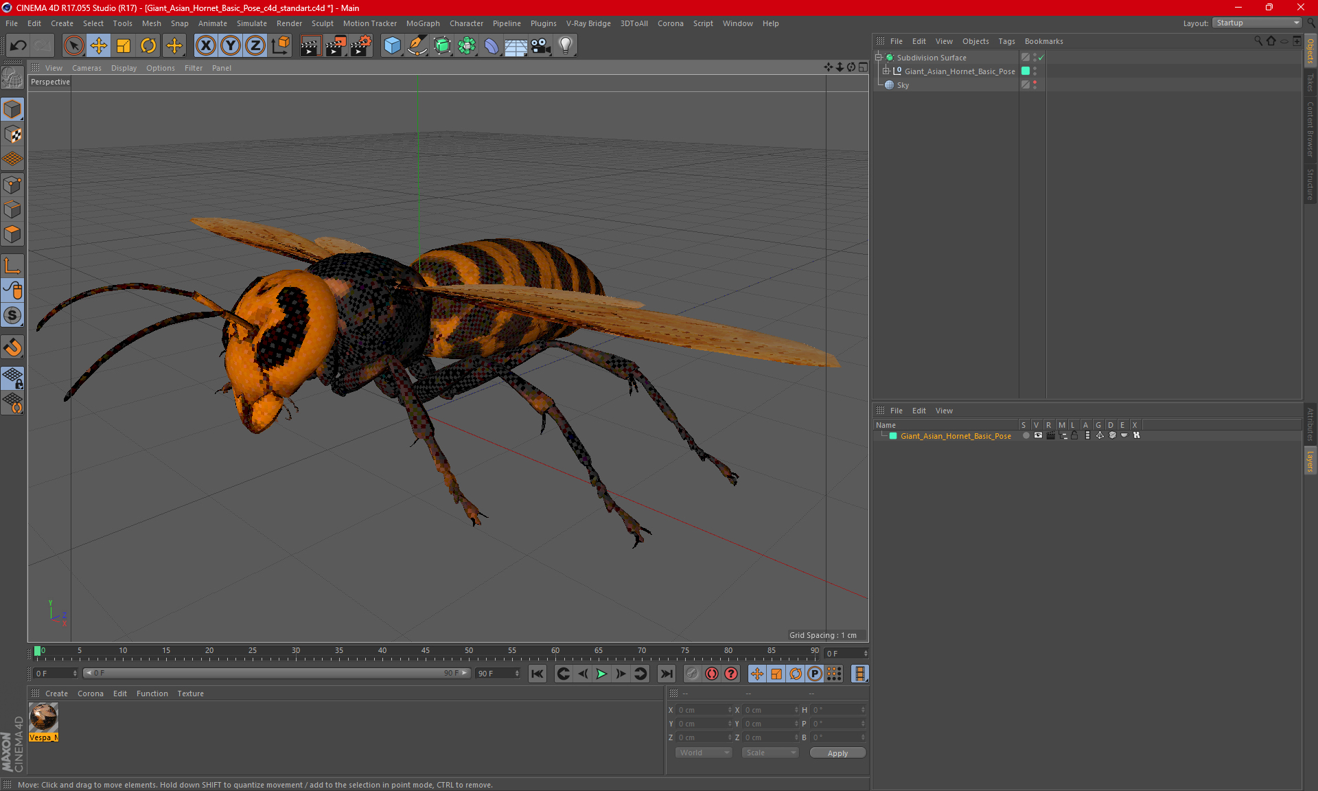 Giant Asian Hornet Basic Pose 3D model