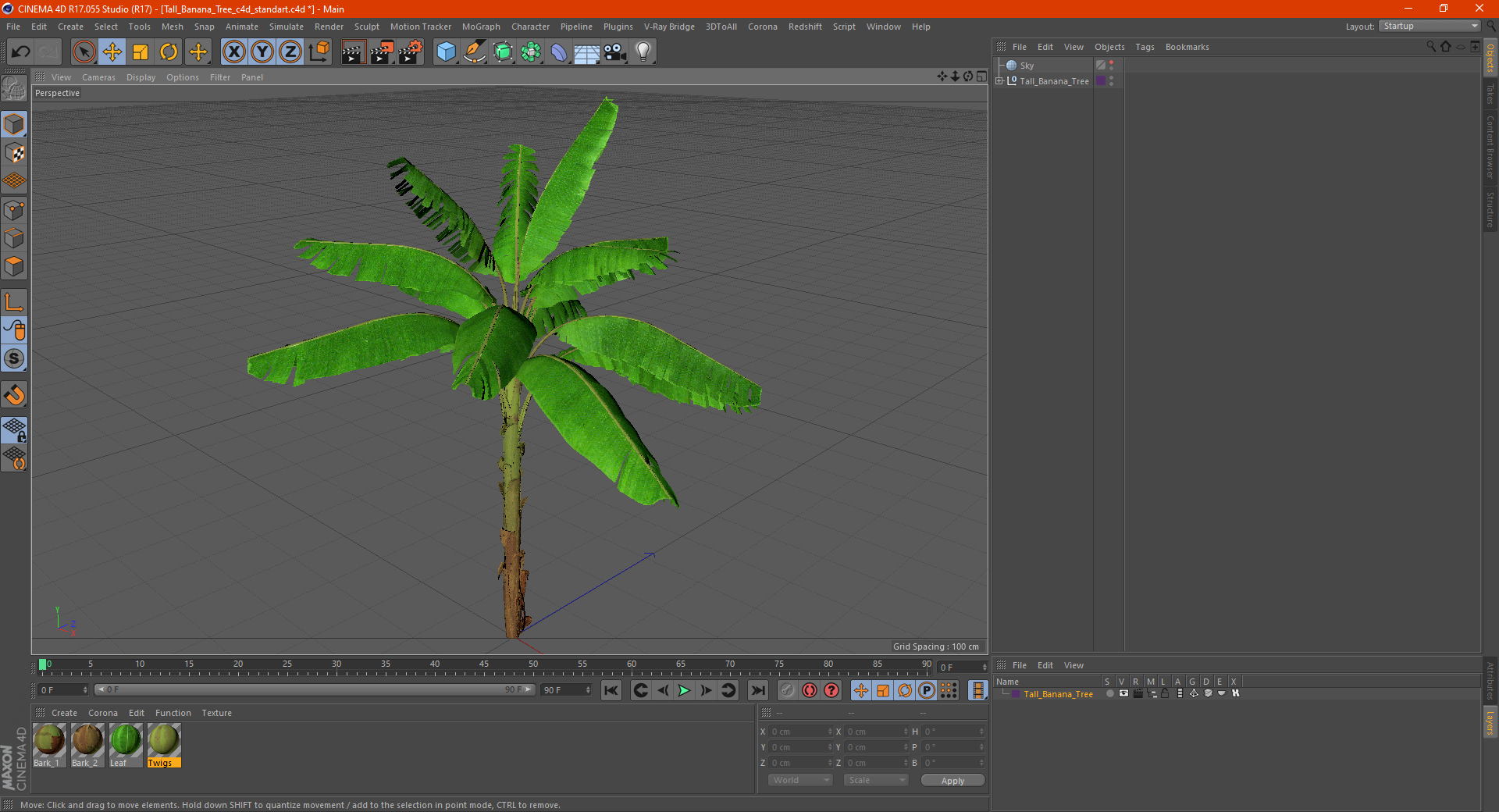 3D Tall Banana Tree