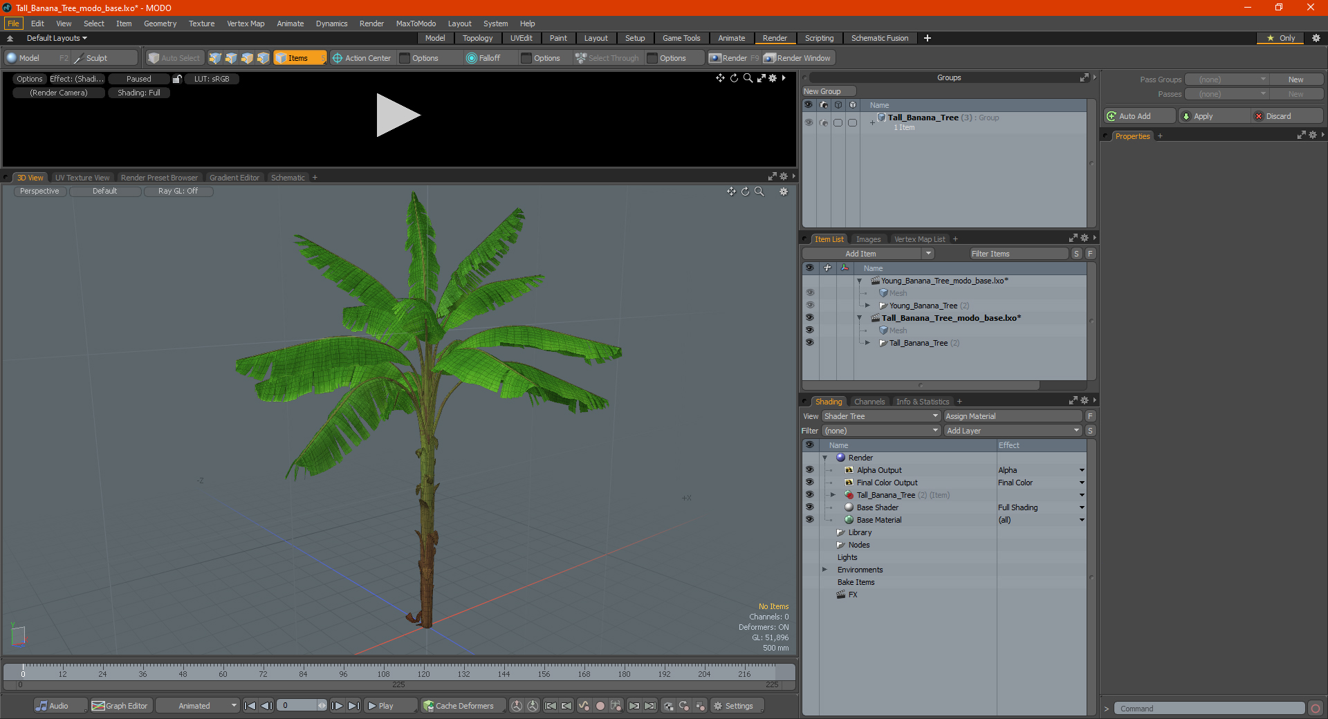 3D Tall Banana Tree