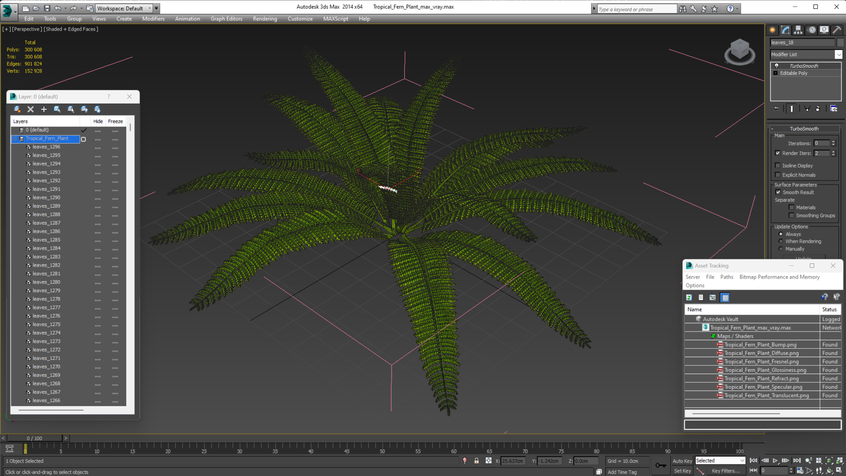 Tropical Fern Plant 3D model