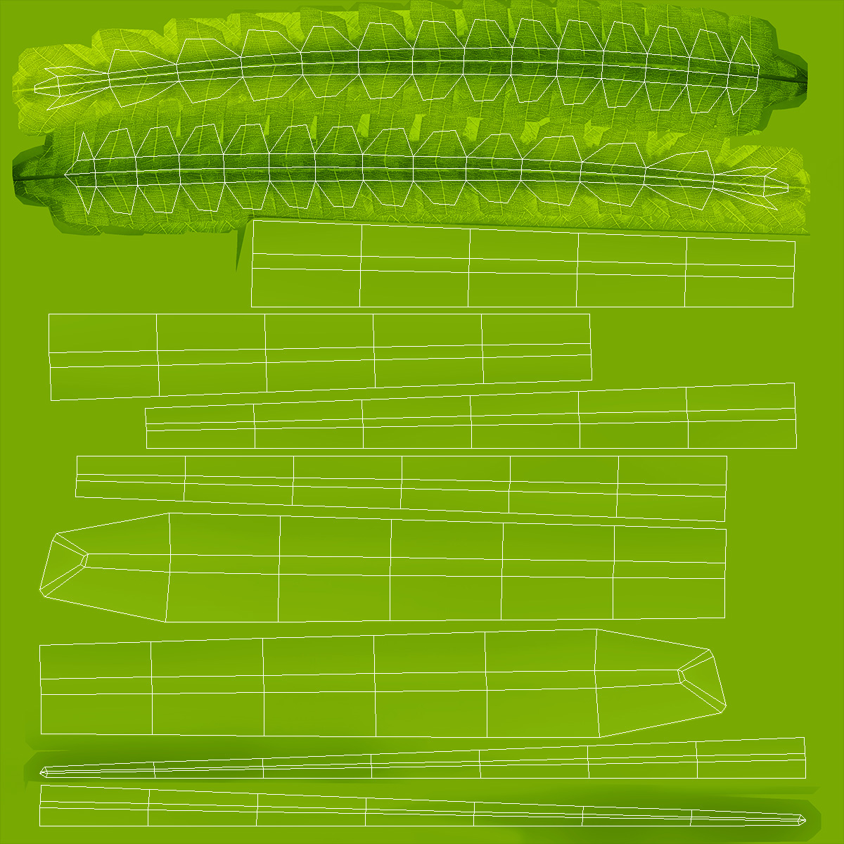 Tropical Fern Plant 3D model