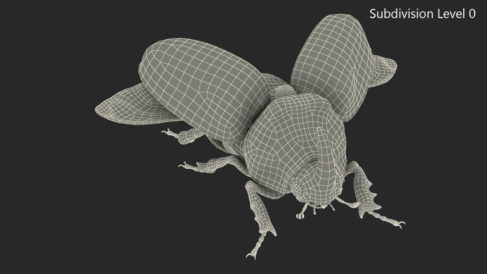 3D model Oryctes Nasicornis Rhinoceros Beetle with Fur