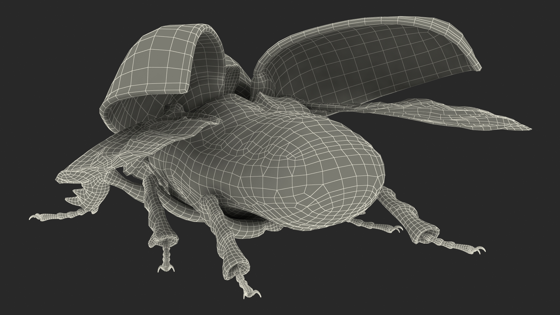 3D model Oryctes Nasicornis Rhinoceros Beetle with Fur