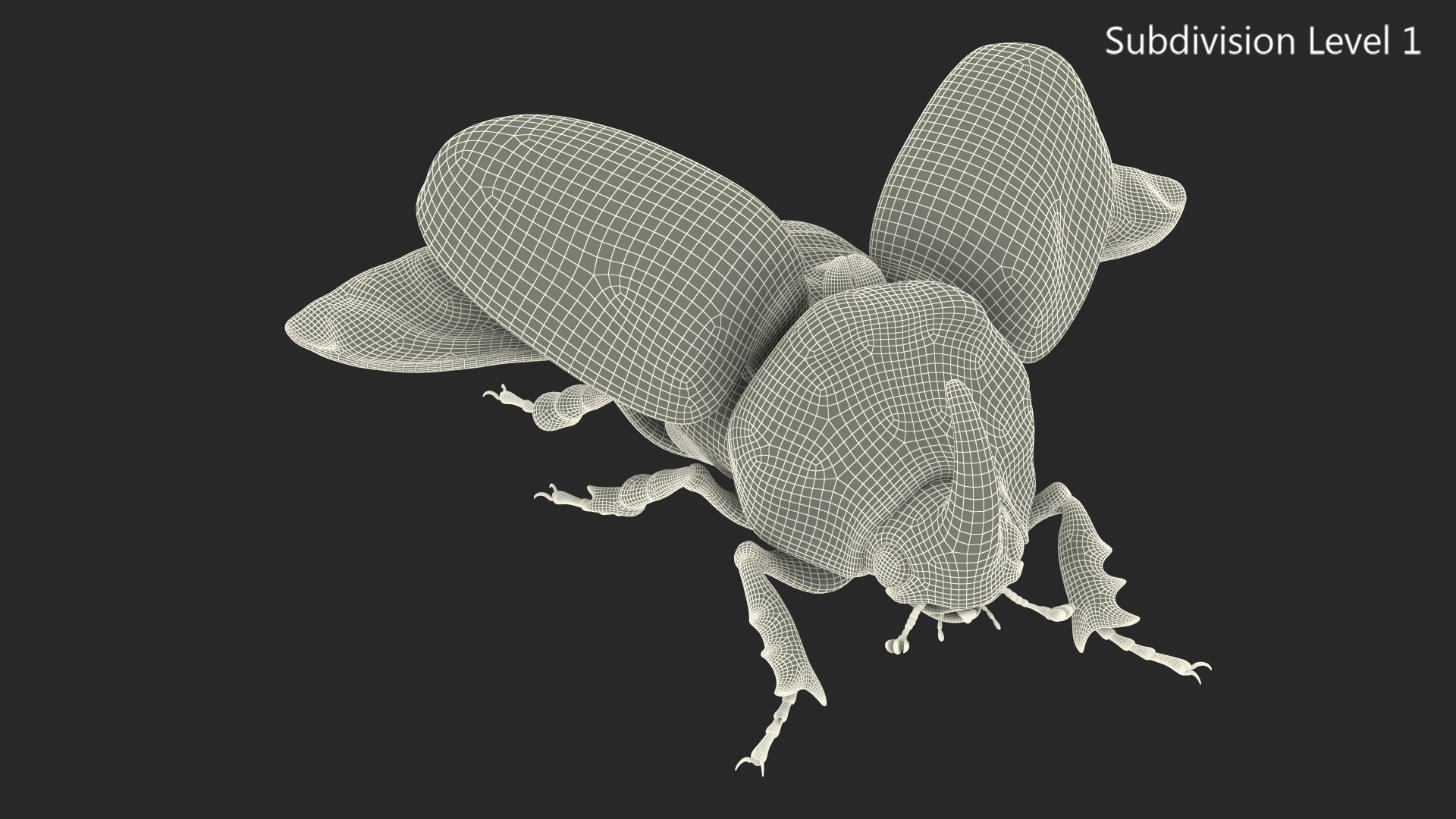 3D model Oryctes Nasicornis Rhinoceros Beetle with Fur