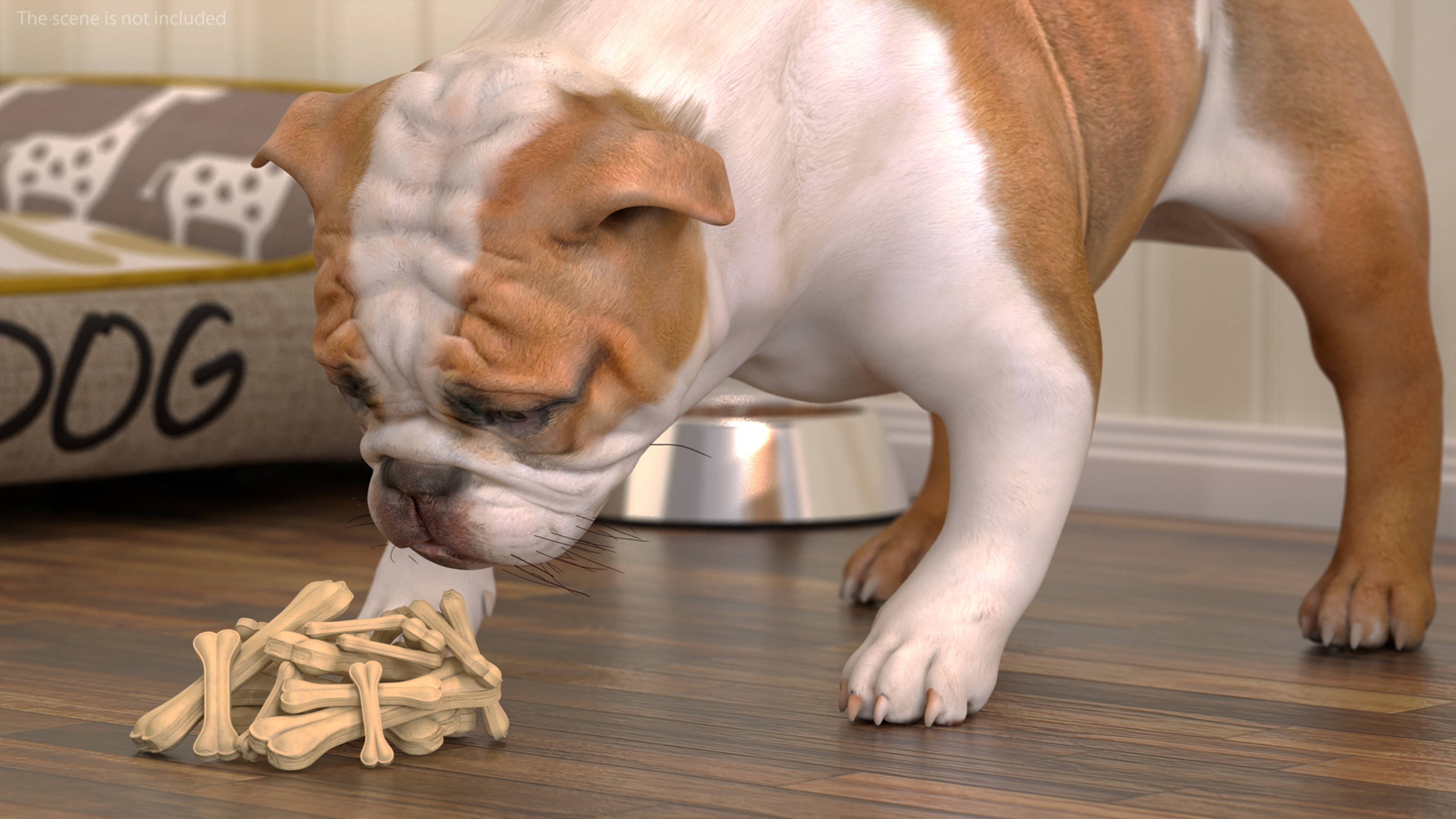 3D model Bulldog Sniffs a Pile of Bones