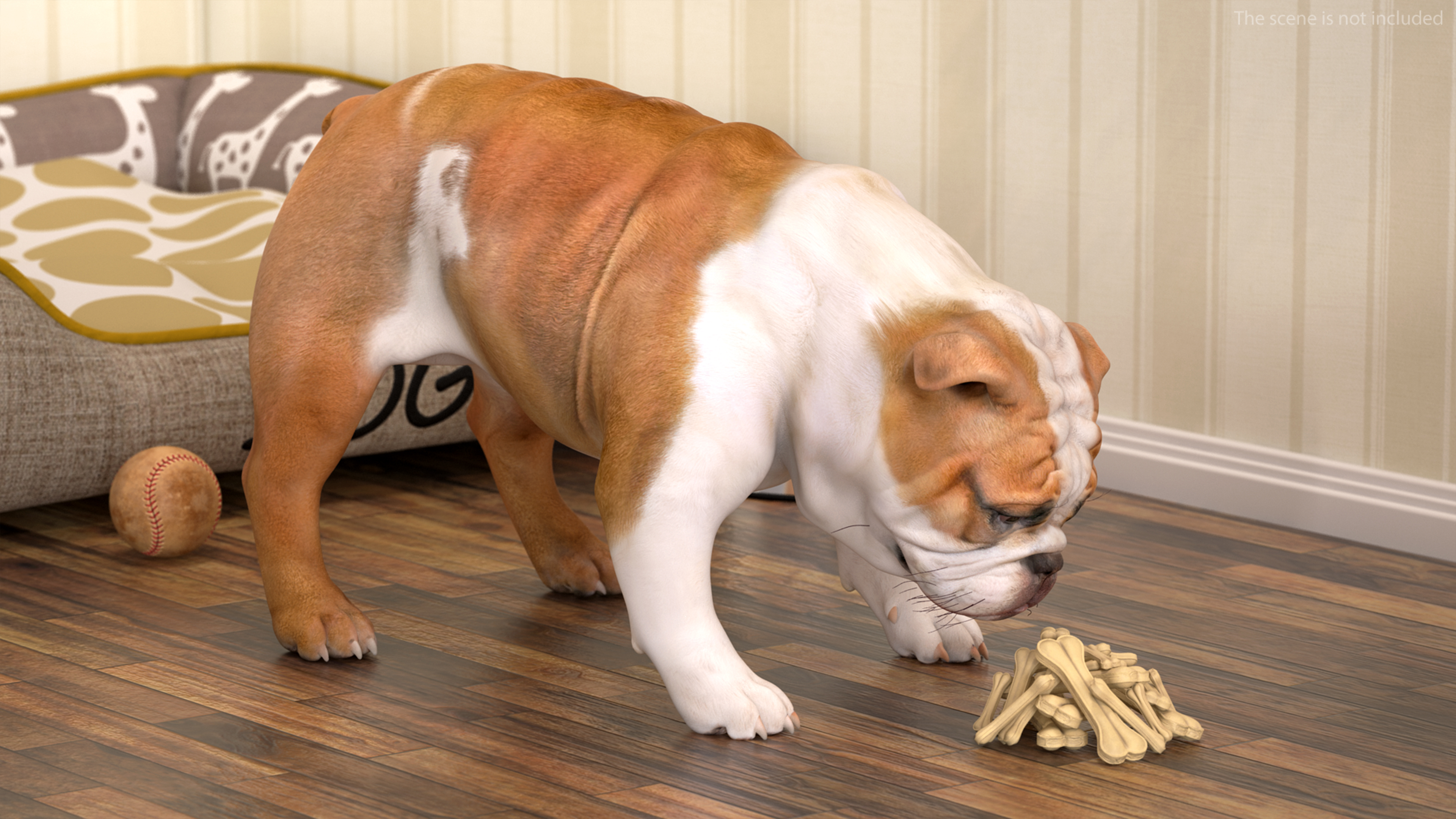 3D model Bulldog Sniffs a Pile of Bones
