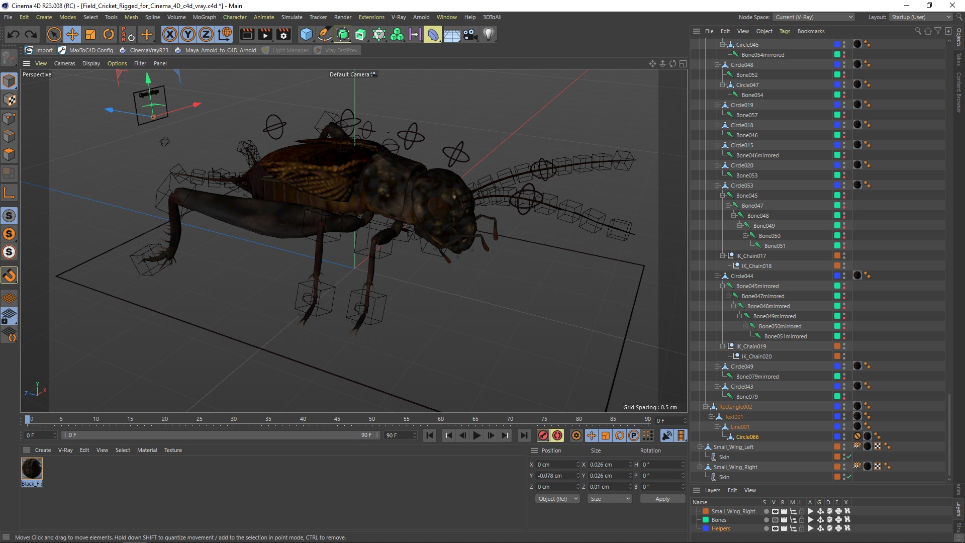 Field Cricket Rigged for Cinema 4D 3D model