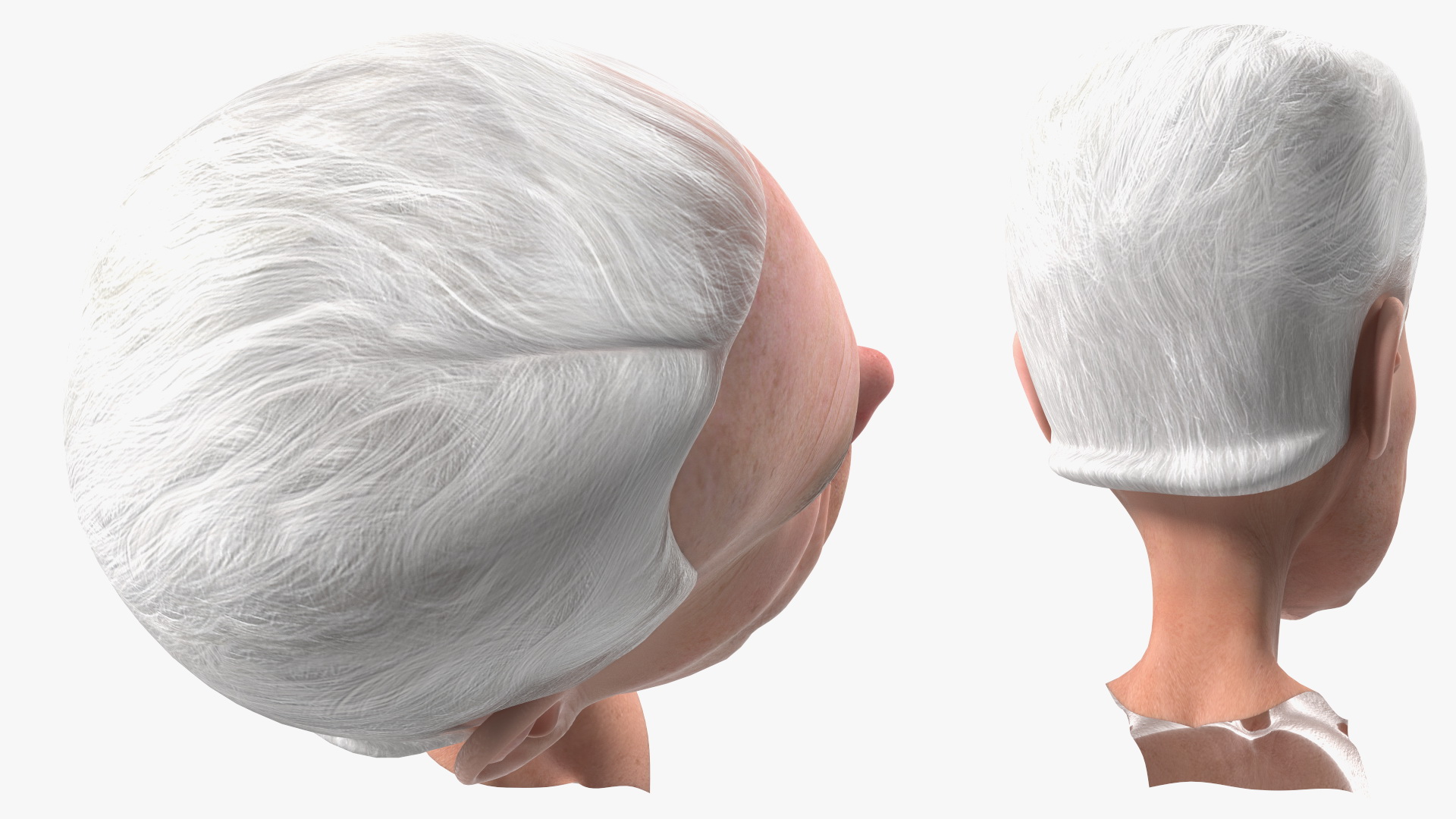 Cartoon Joe Biden Head Rigged 3D model