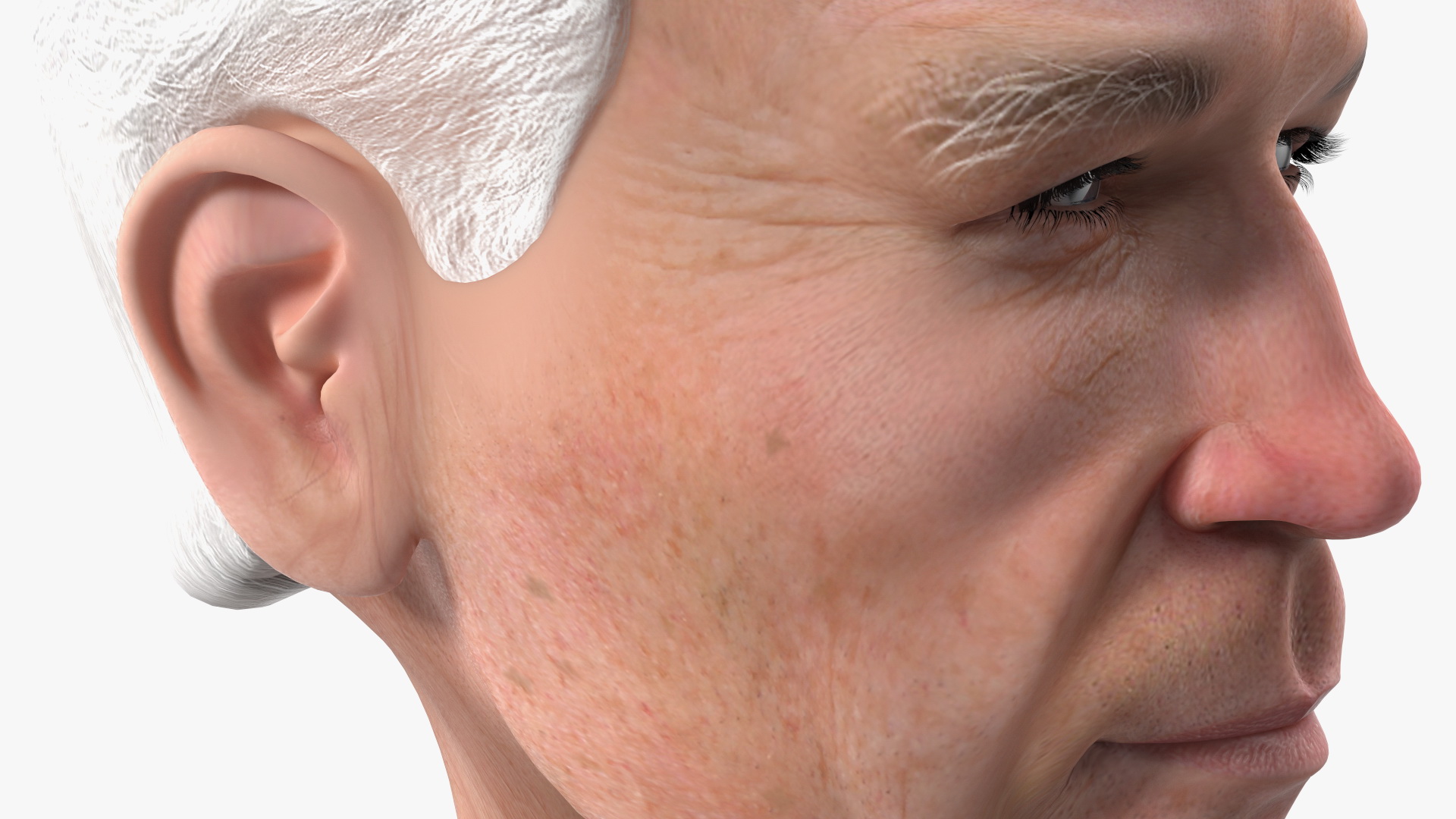 Cartoon Joe Biden Head Rigged 3D model